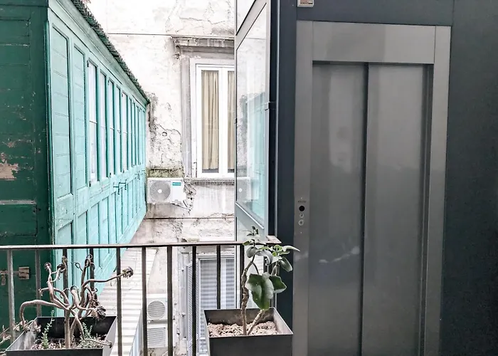 Six Luxury Spagnoli *